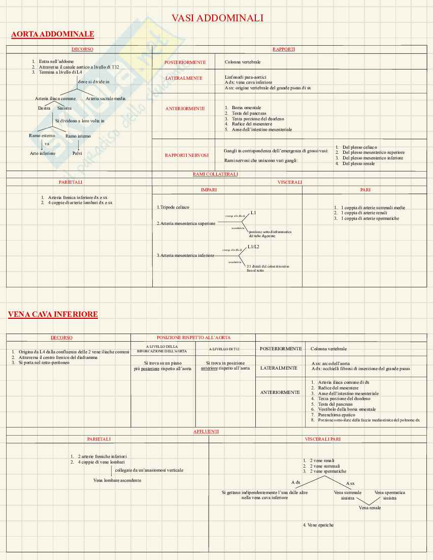 Anatomia macroscopica - schemi e appunti per l’esame  Pag. 21