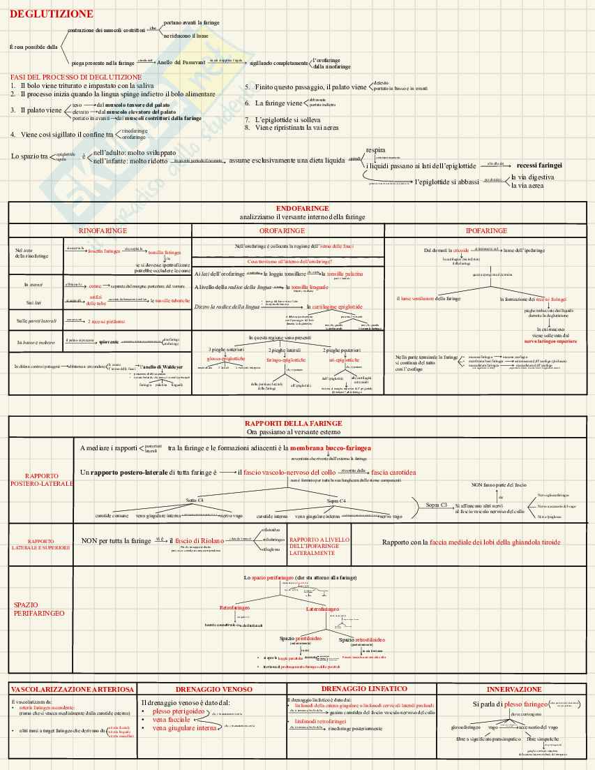 Anatomia macroscopica - schemi e appunti per l’esame  Pag. 6