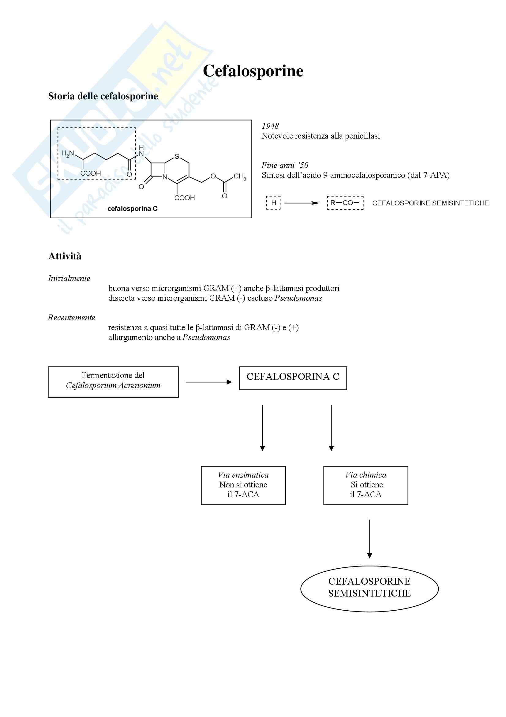 Chimica farmaceutica e tossicologica - cefalosporine Pag. 1