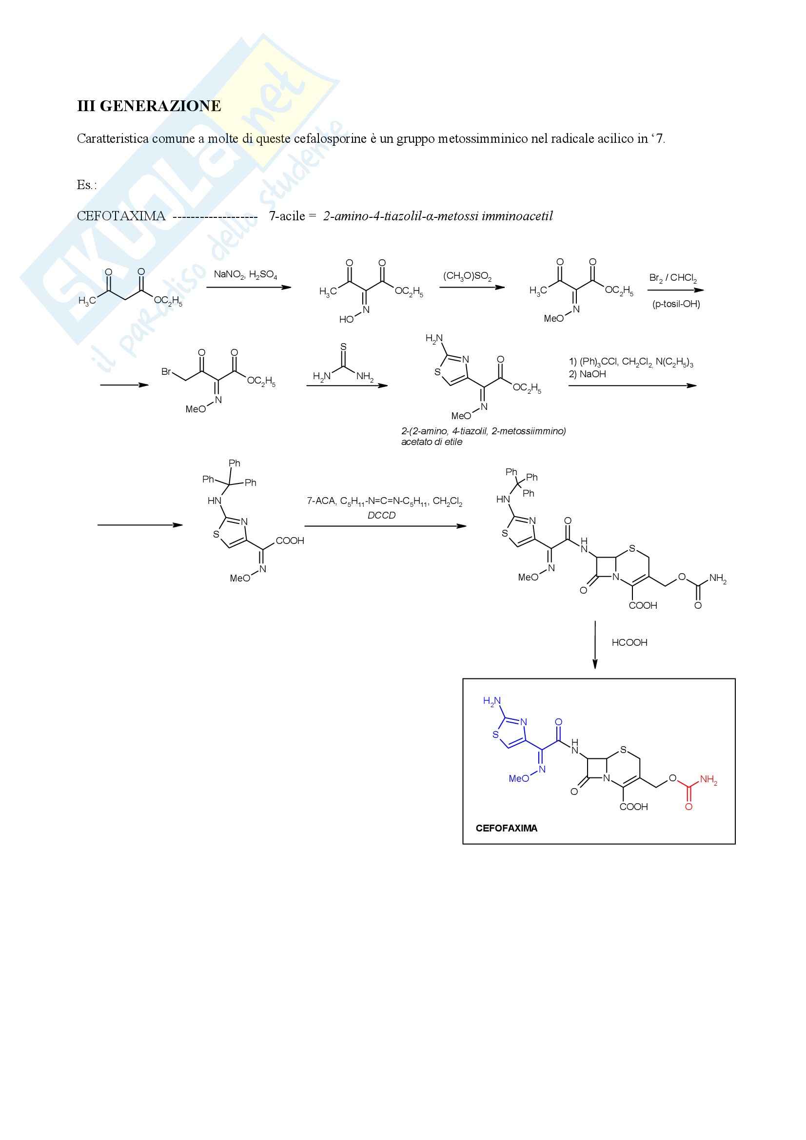 Chimica farmaceutica e tossicologica - cefalosporine Pag. 11