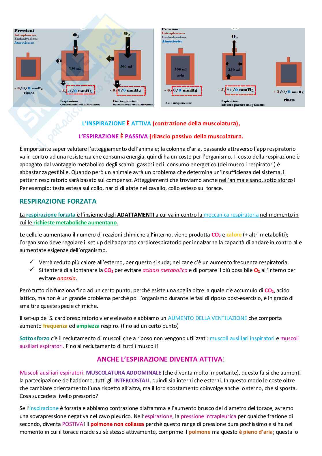 Appunti di Fisiologia 2 Pag. 61