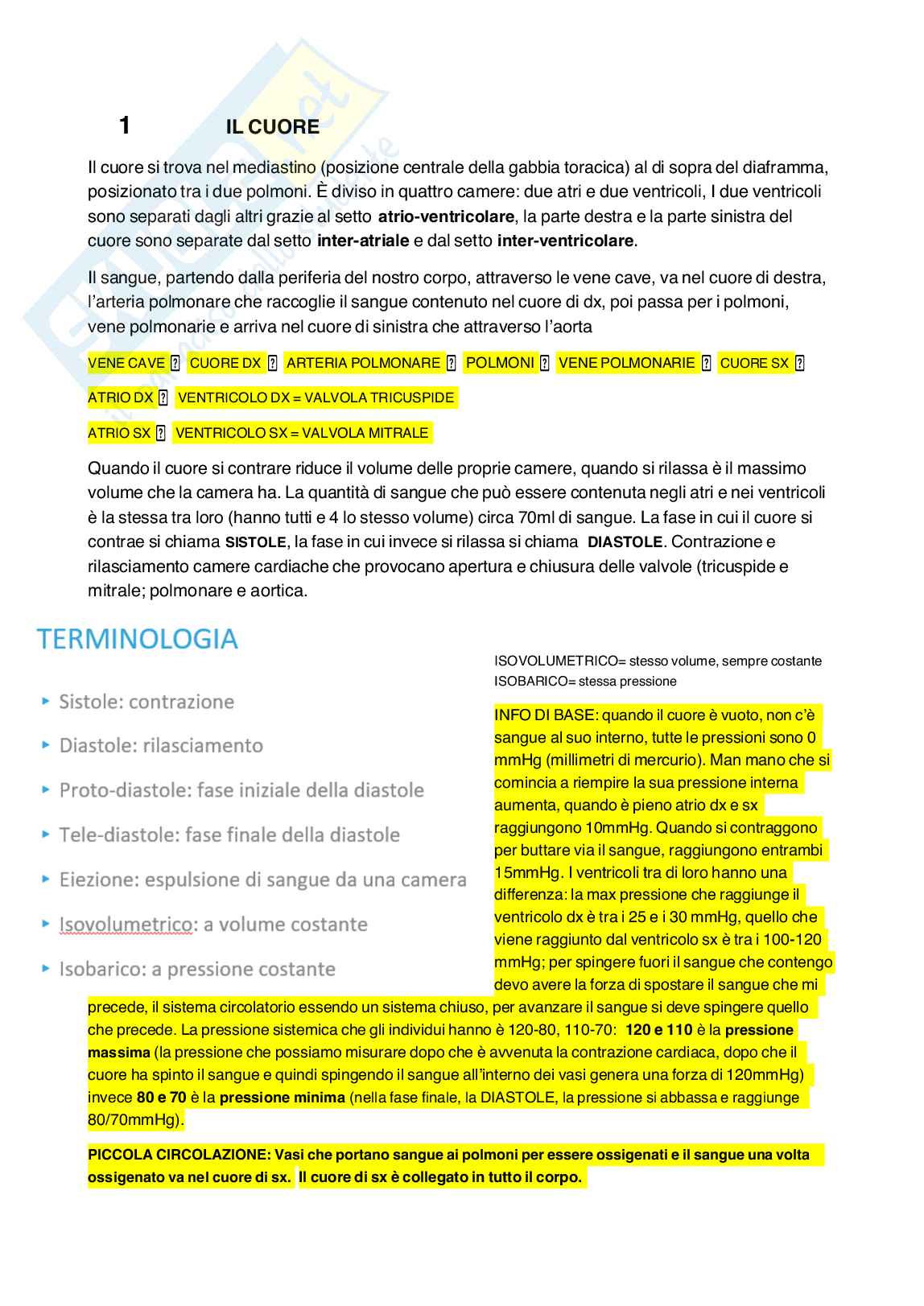 Fisiologia umana Pag. 1