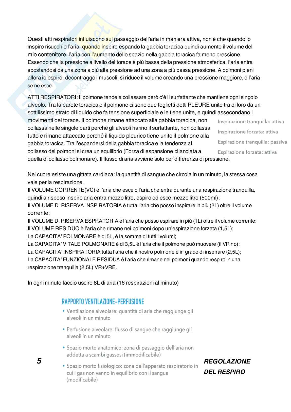 Fisiologia umana Pag. 16