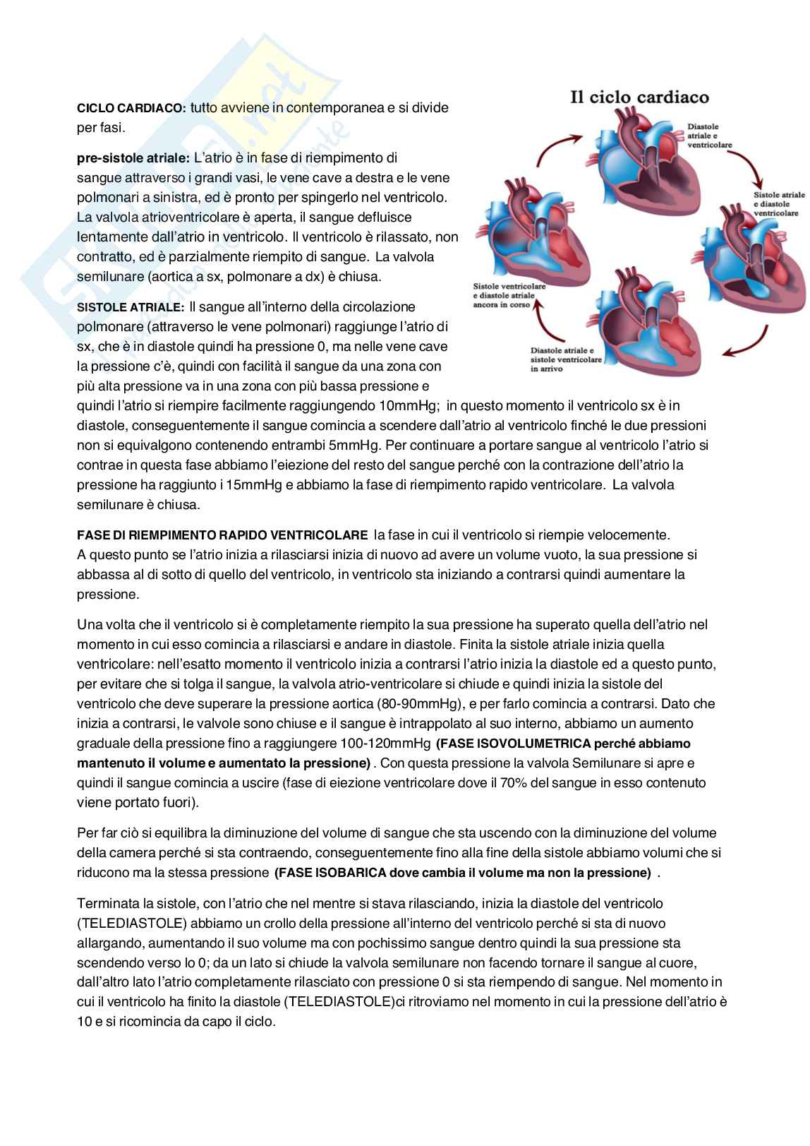 Fisiologia umana Pag. 2