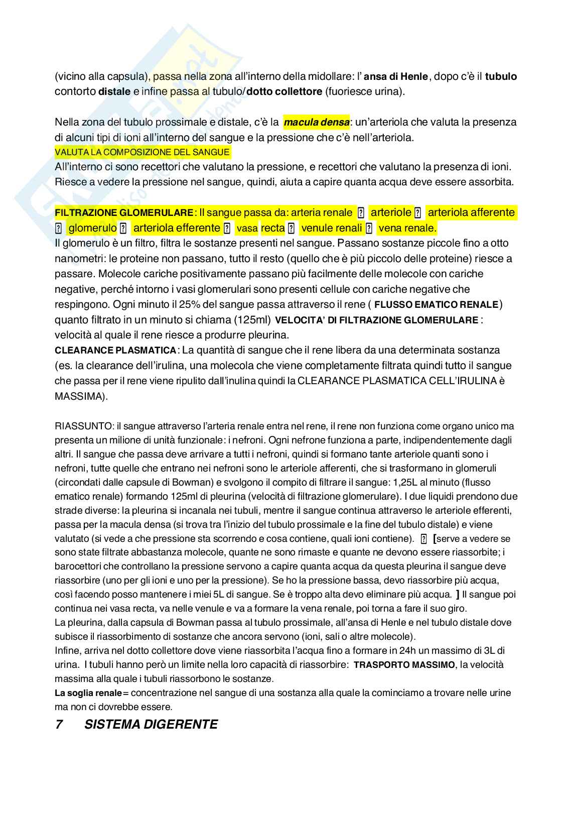 Fisiologia umana Pag. 21