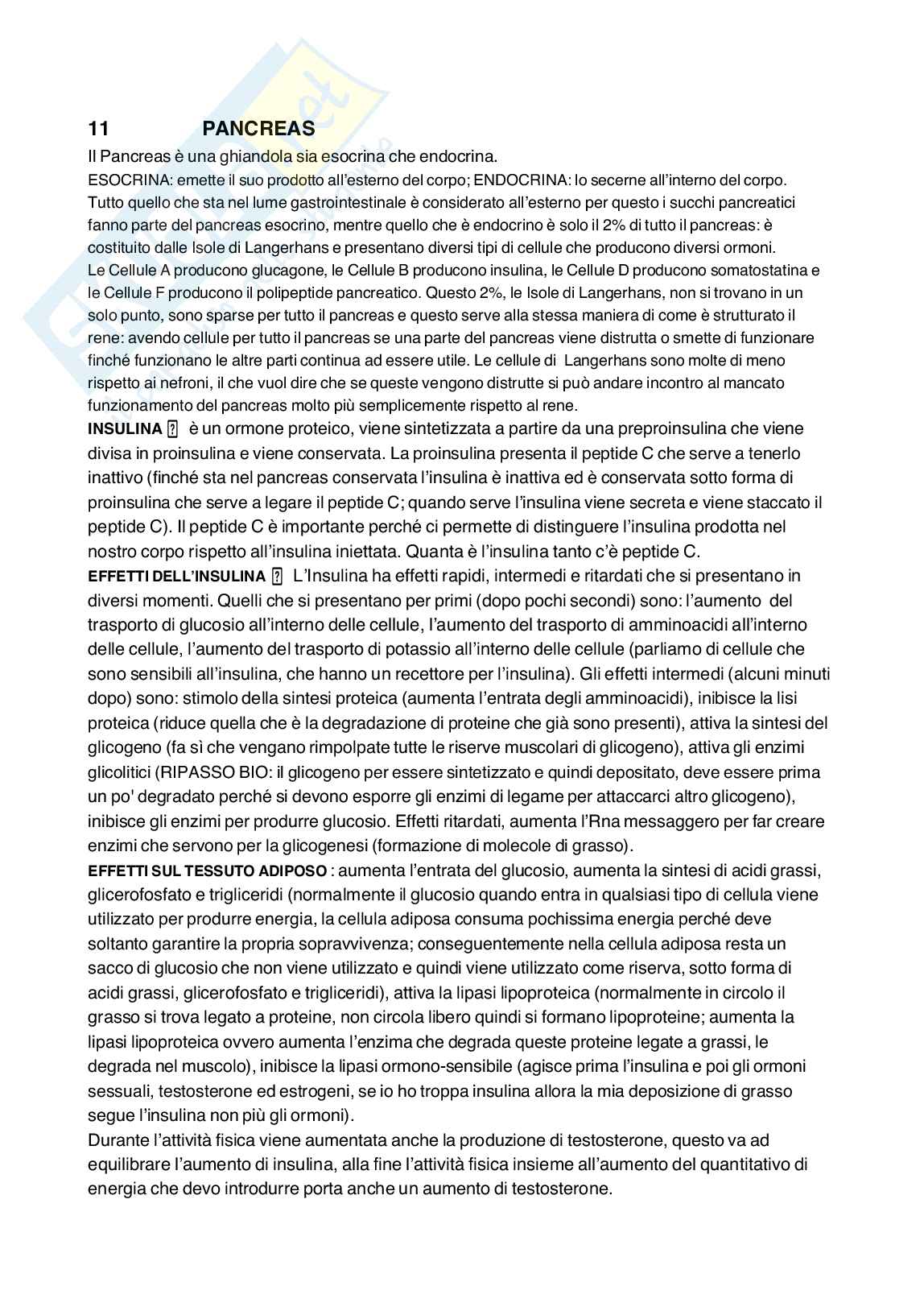 Fisiologia umana Pag. 31