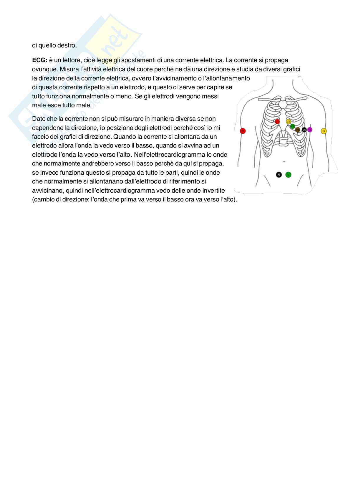 Fisiologia umana Pag. 6
