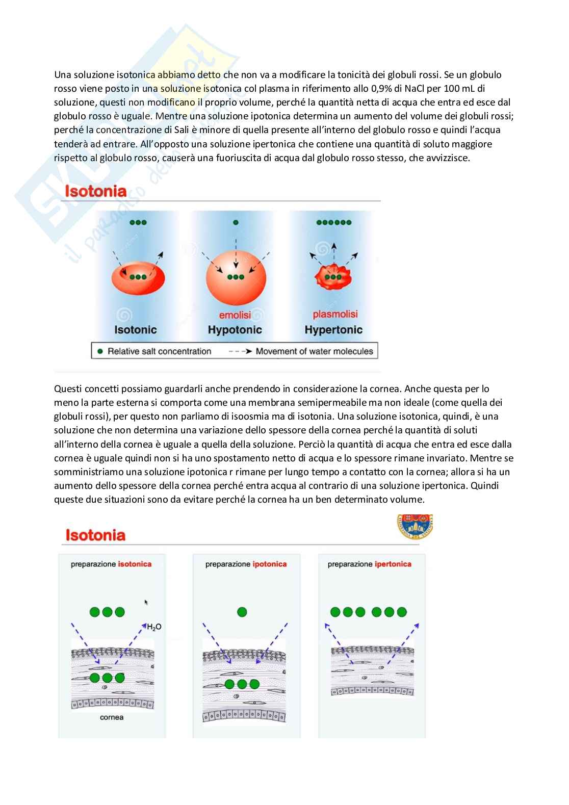 Tecnologia, socioeconomia e legislazione farmaceutiche 1 - parte 5 Pag. 66