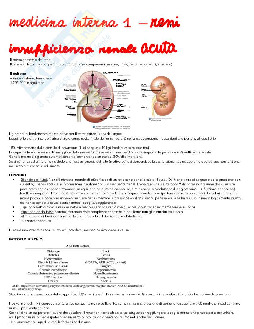 Medicina interna 1 - problematiche renali Pag. 1