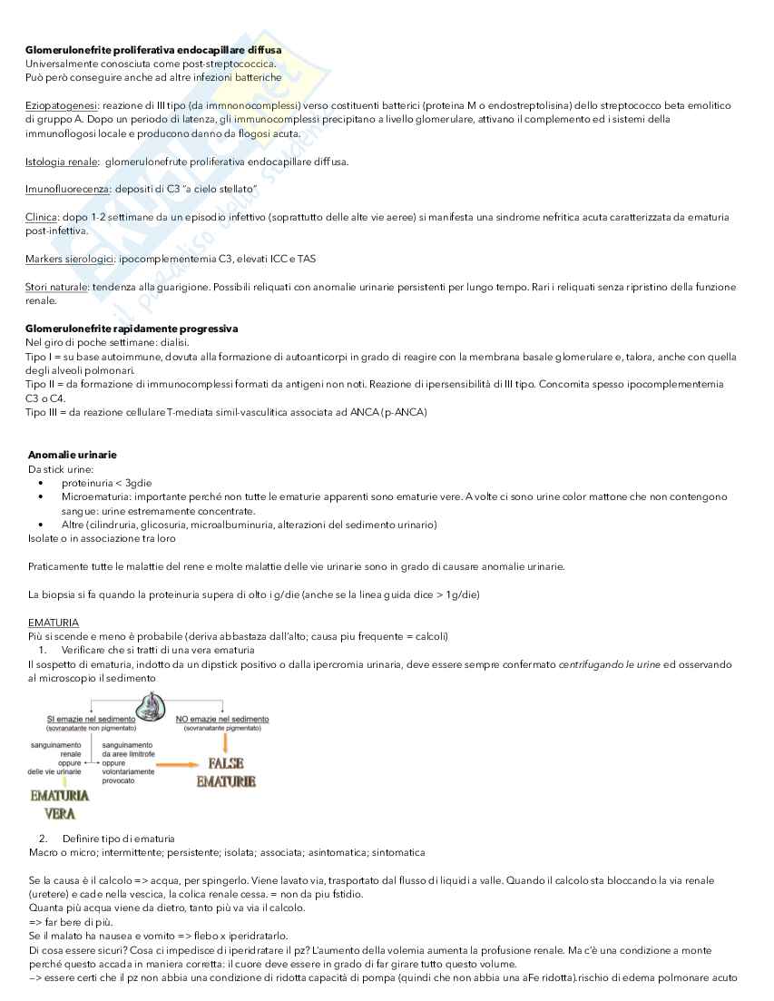 Medicina interna 1 - problematiche renali Pag. 16