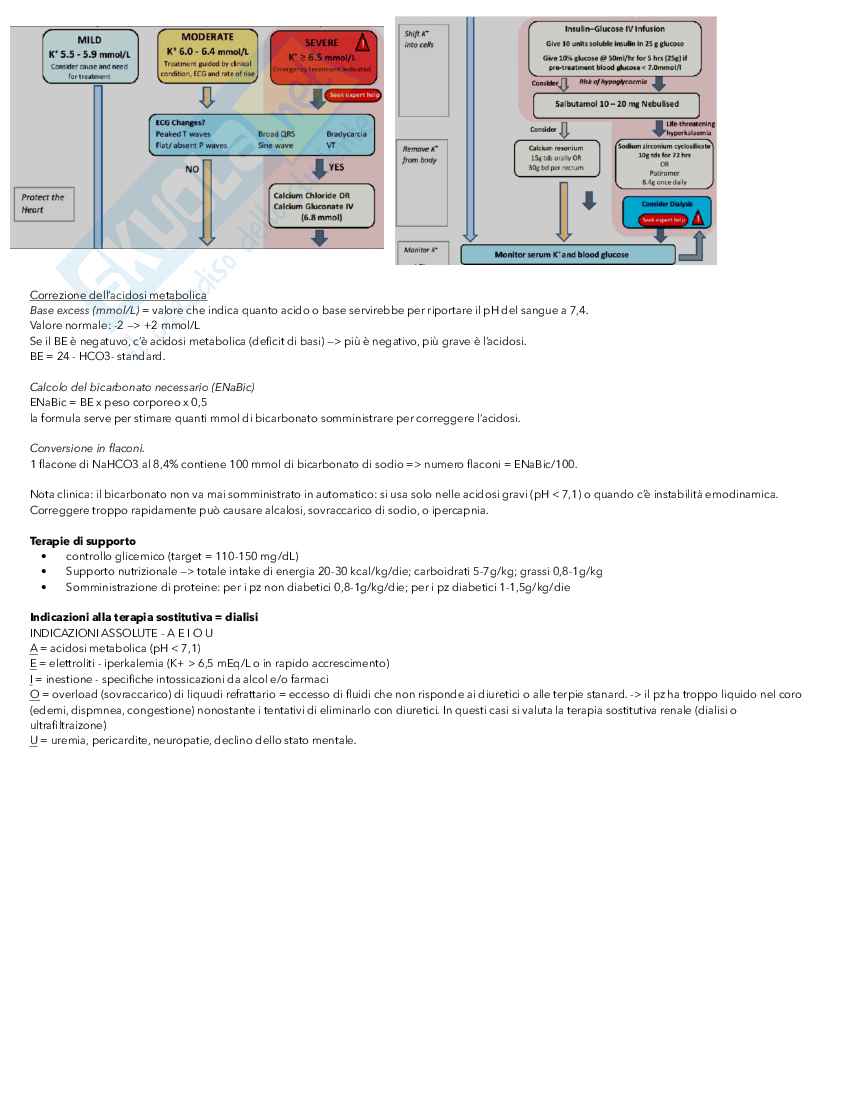 Medicina interna 1 - problematiche renali Pag. 6