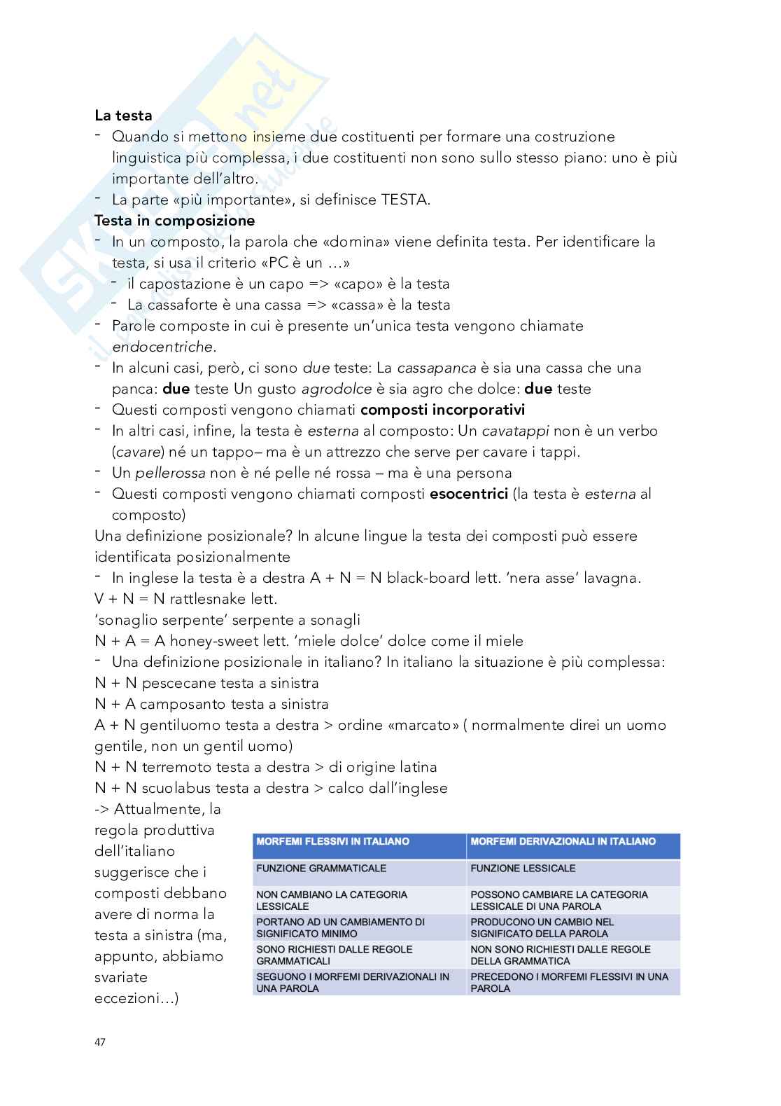 Appunti Linguistica, modulo morfologia  Pag. 16