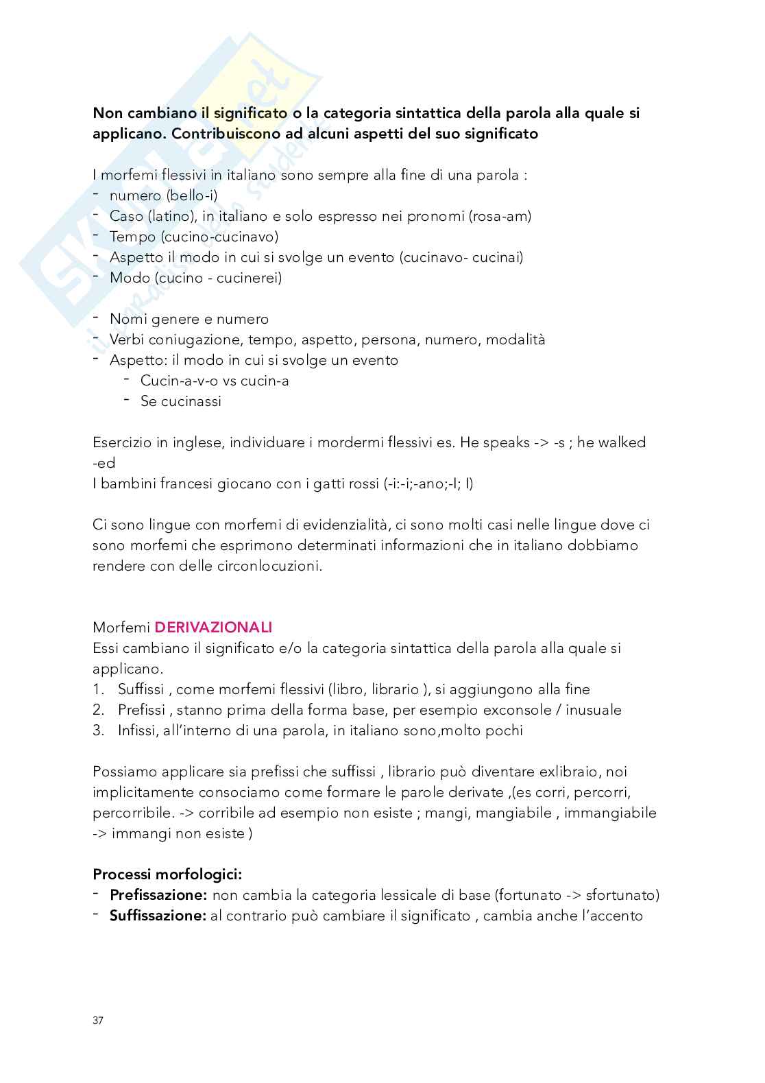 Appunti Linguistica, modulo morfologia  Pag. 6