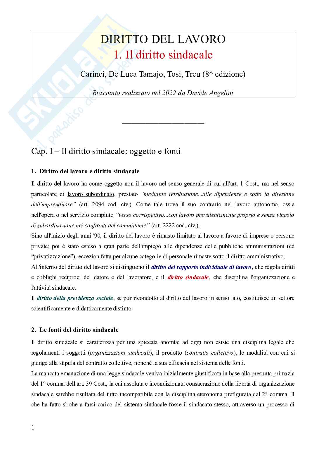 Riassunto esame Diritto del lavoro, Prof. Carinci Maria Teresa, libro consigliato Diritto del Lavoro - Vol. 1 (Il Diritto sindacale) - 8^edizione, Carinci, De Luca, Tamajo, Tosi, Treu Pag. 1