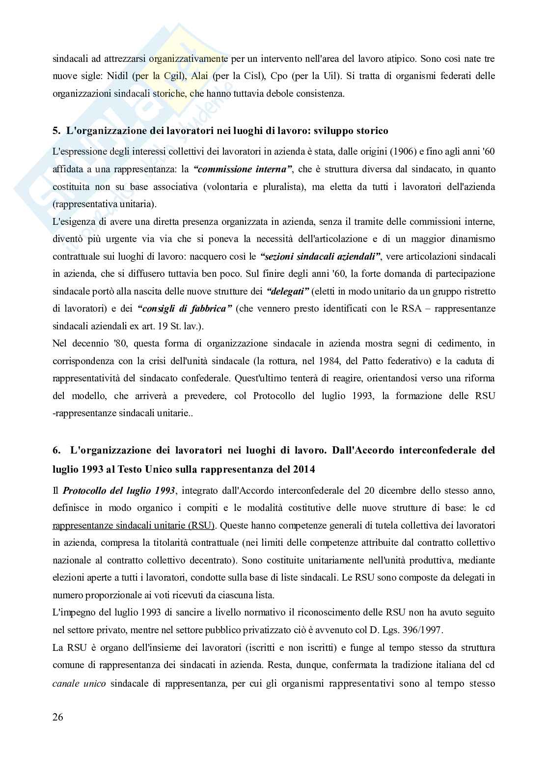 Riassunto esame Diritto del lavoro, Prof. Carinci Maria Teresa, libro consigliato Diritto del Lavoro - Vol. 1 (Il Diritto sindacale) - 8^edizione, Carinci, De Luca, Tamajo, Tosi, Treu Pag. 26