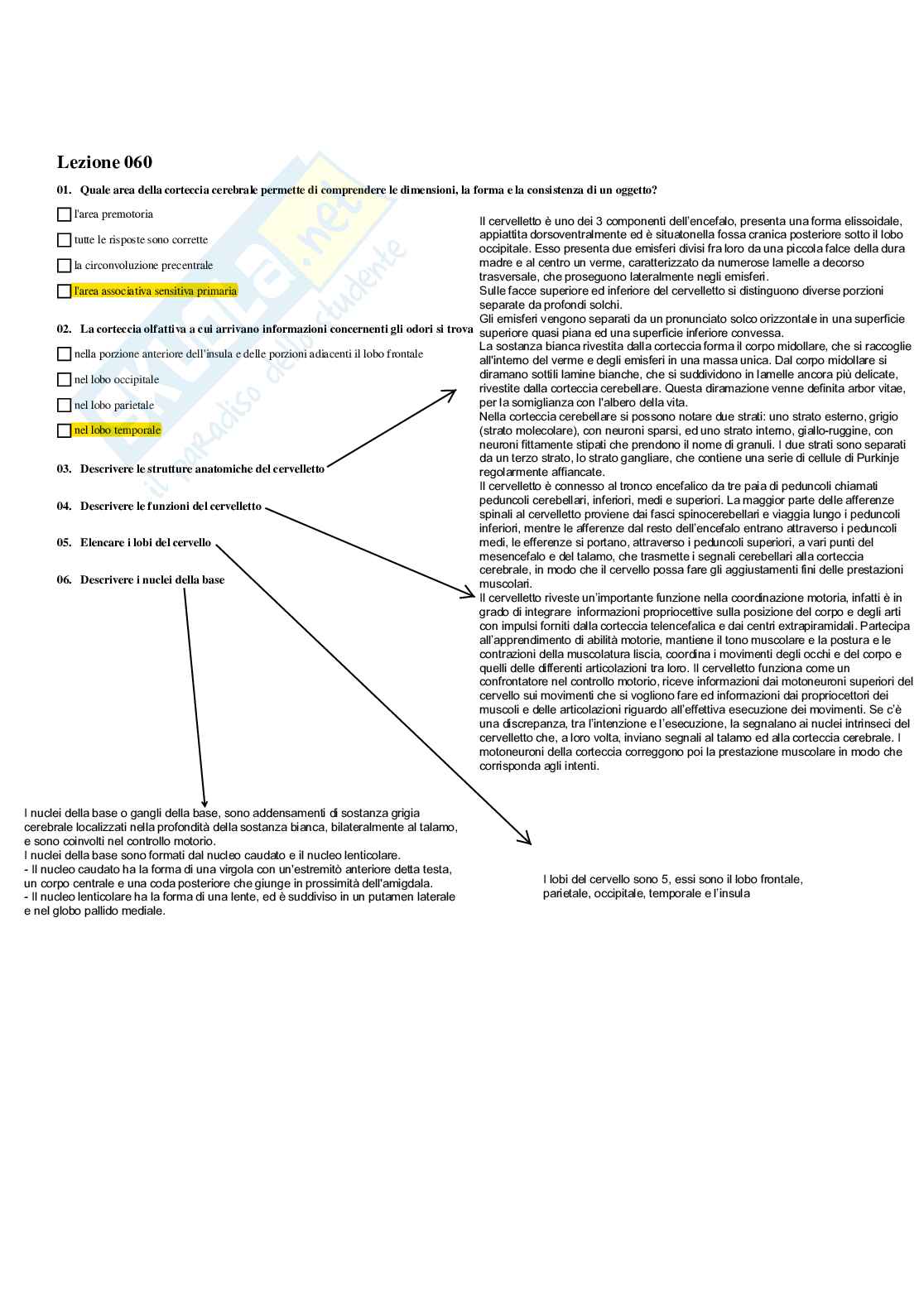 Paniere Completo di Anatomia umana - (2026) - Risposte multiple e aperte corrette Pag. 51
