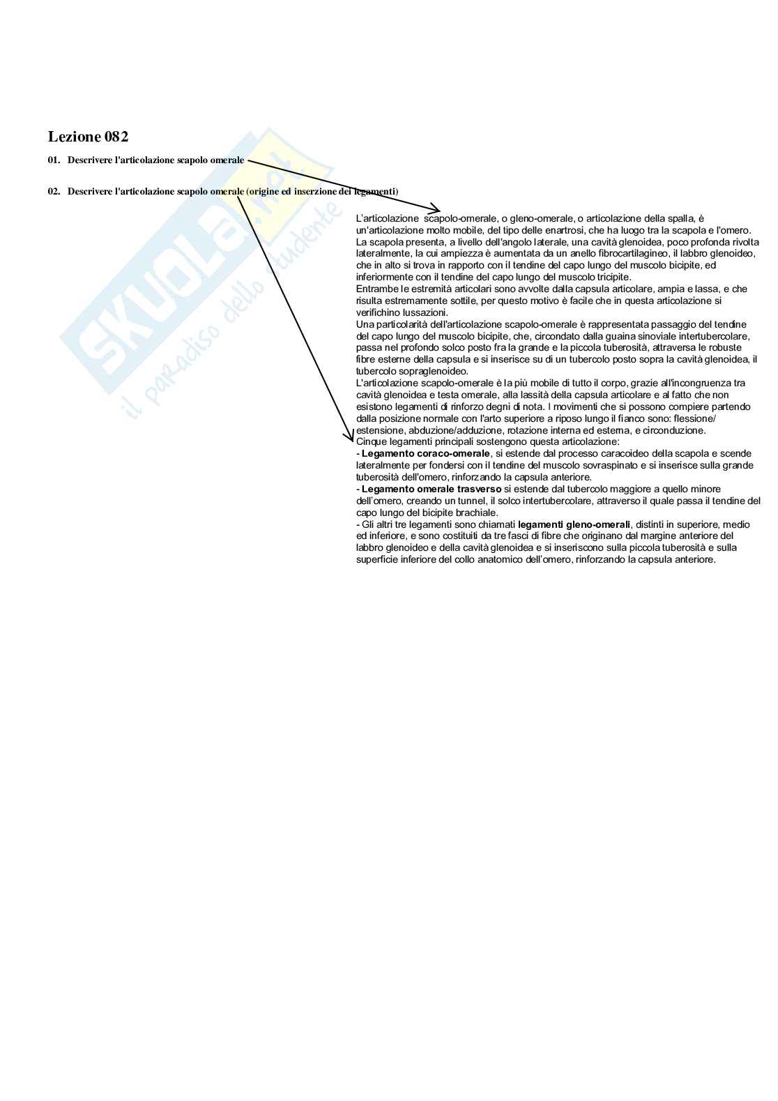 Paniere Completo di Anatomia umana - (2026) - Risposte multiple e aperte corrette Pag. 71