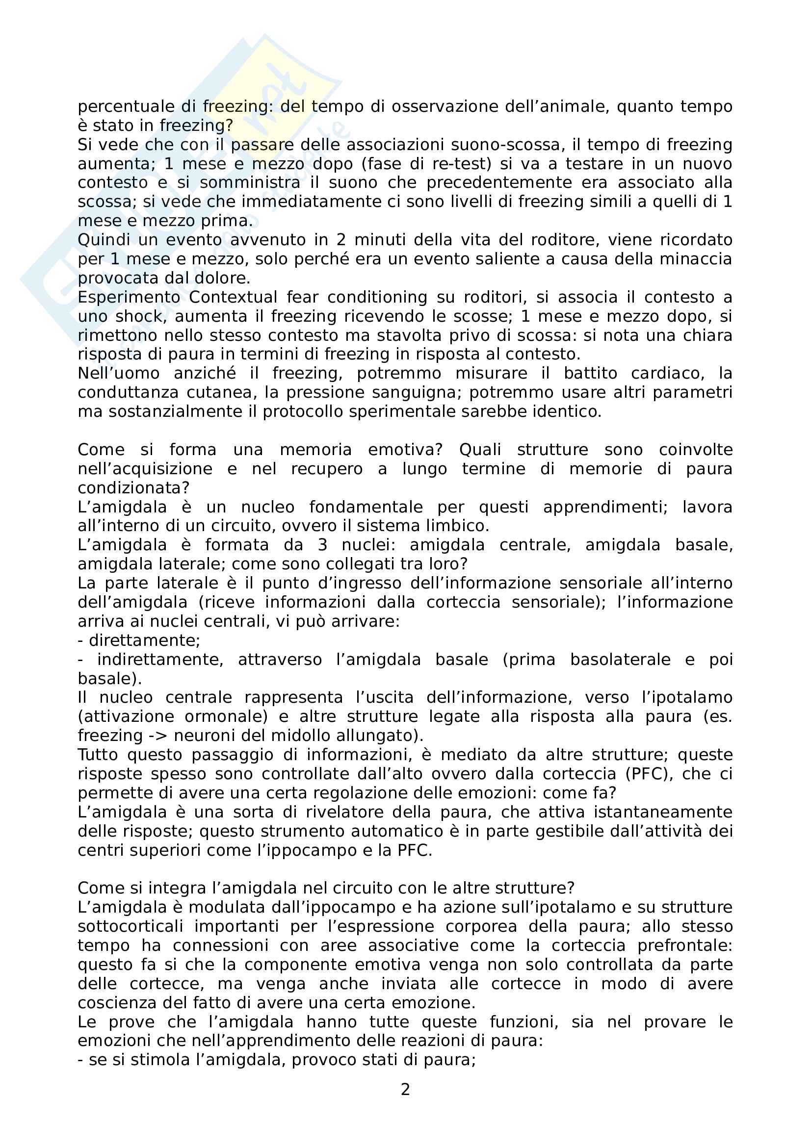Riassunto per esame di Psicobiologia della resilienza e della vulnerabilità, prof Pizzorusso, secondo modulo Pag. 2