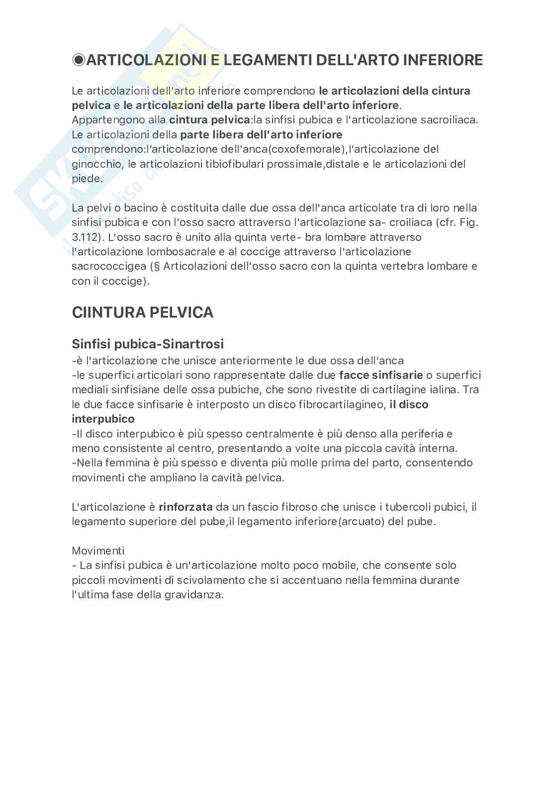 Articolazioni e legamenti dell'arto inferiore Pag. 1