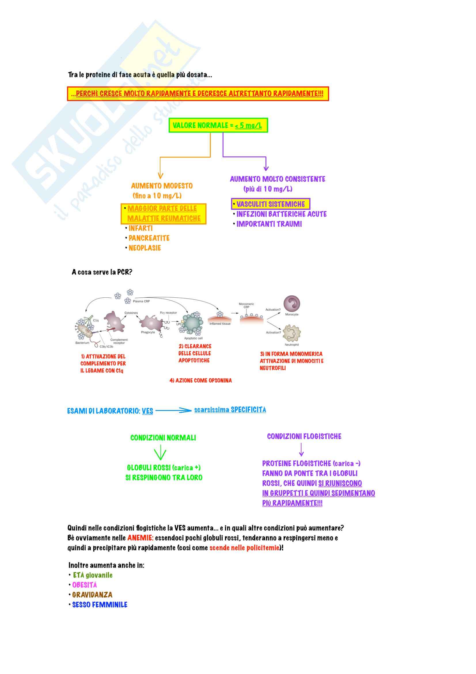 Reumatologia - Introduzione, artrite reumatoide e lupus Pag. 2