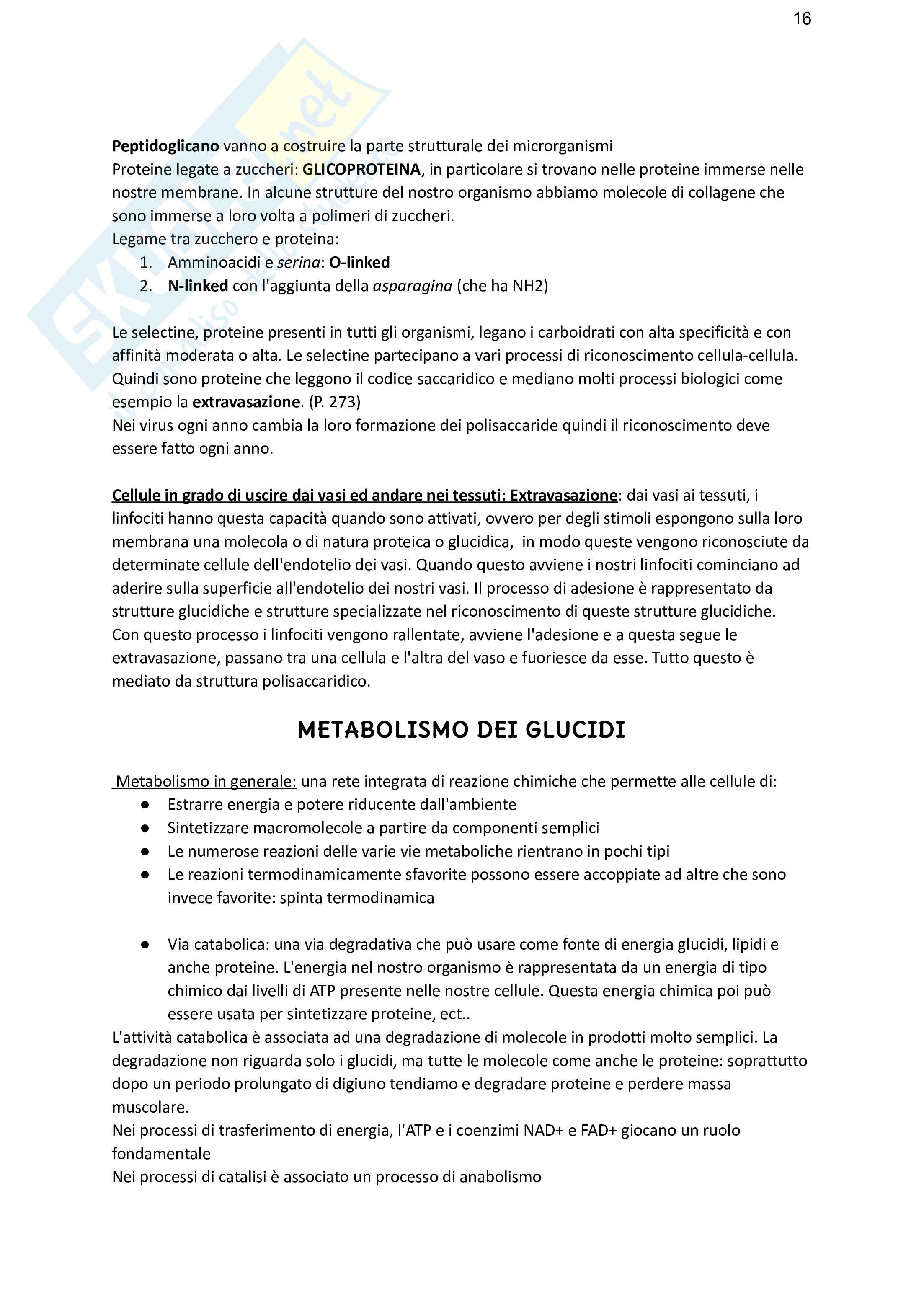 Biochimica Pag. 16