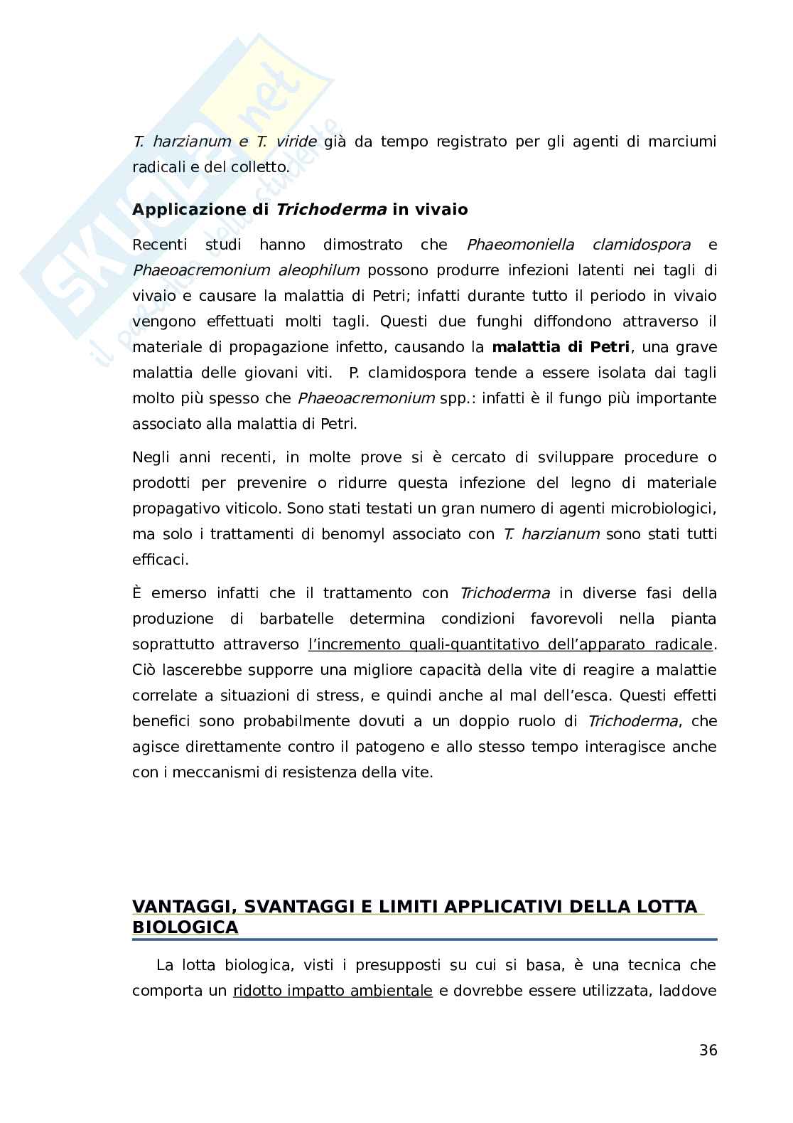 Lotta biologica ai principali funghi della vite Pag. 36