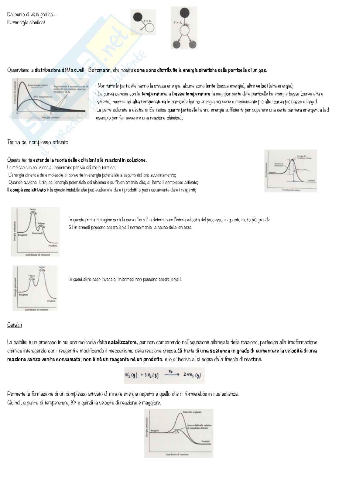 Chimica generale ed inorganica, esercitazioni e laboratorio (teoria) - parte 3 Pag. 46