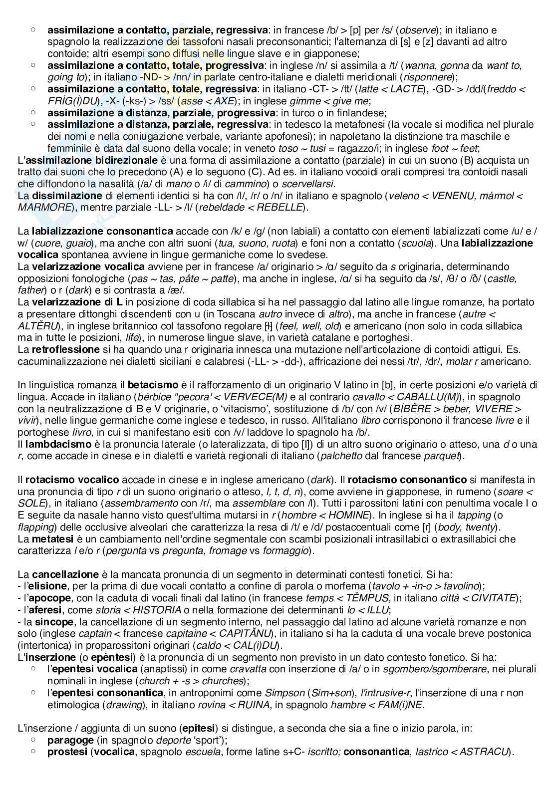 Riassunto esame Linguistica generale, Prof. Romano Antonio, libro consigliato Argomenti scelti di glottologia e linguistica , Romano, Miletto Pag. 11