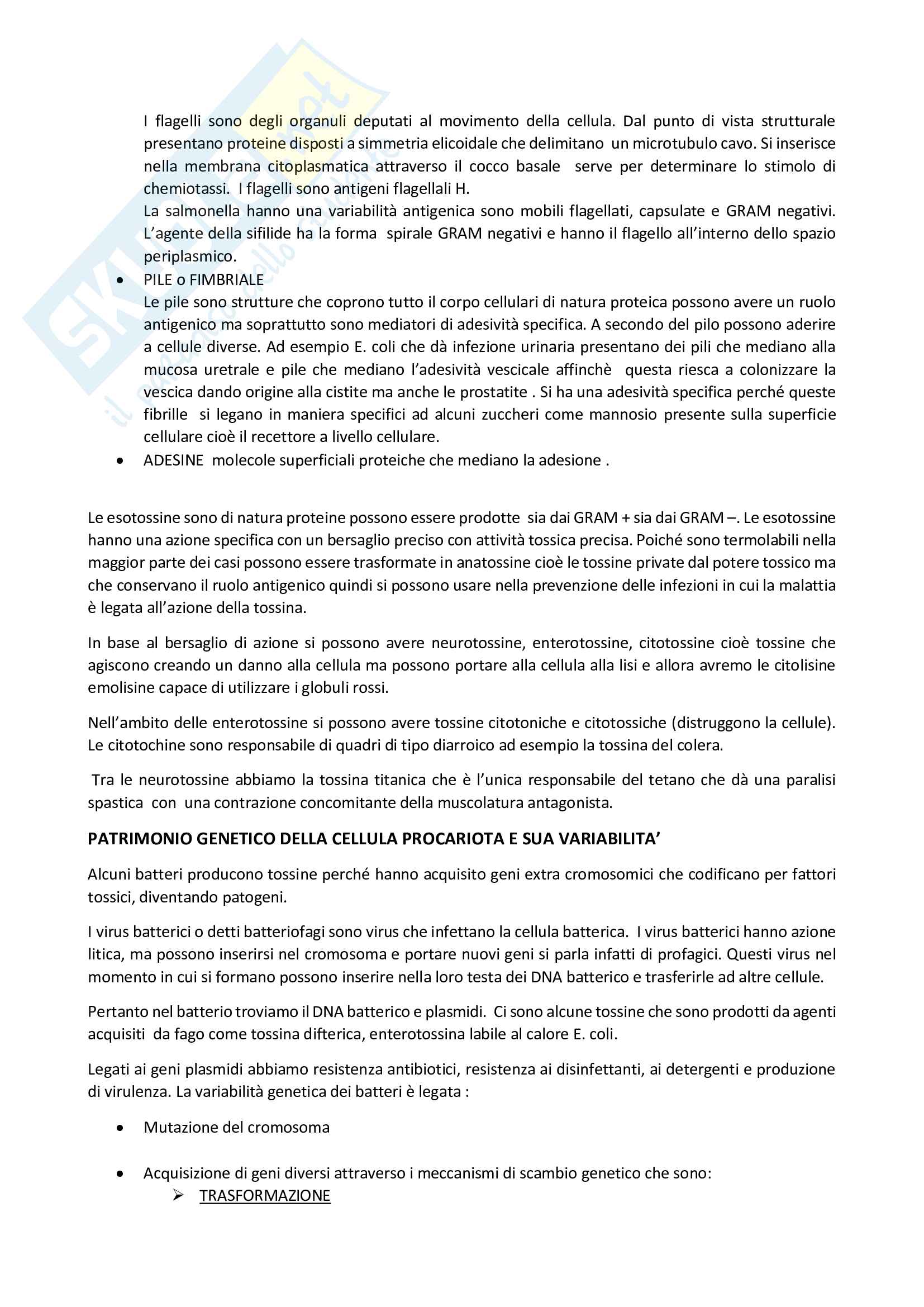 Microbiologia generale e clinica Pag. 21