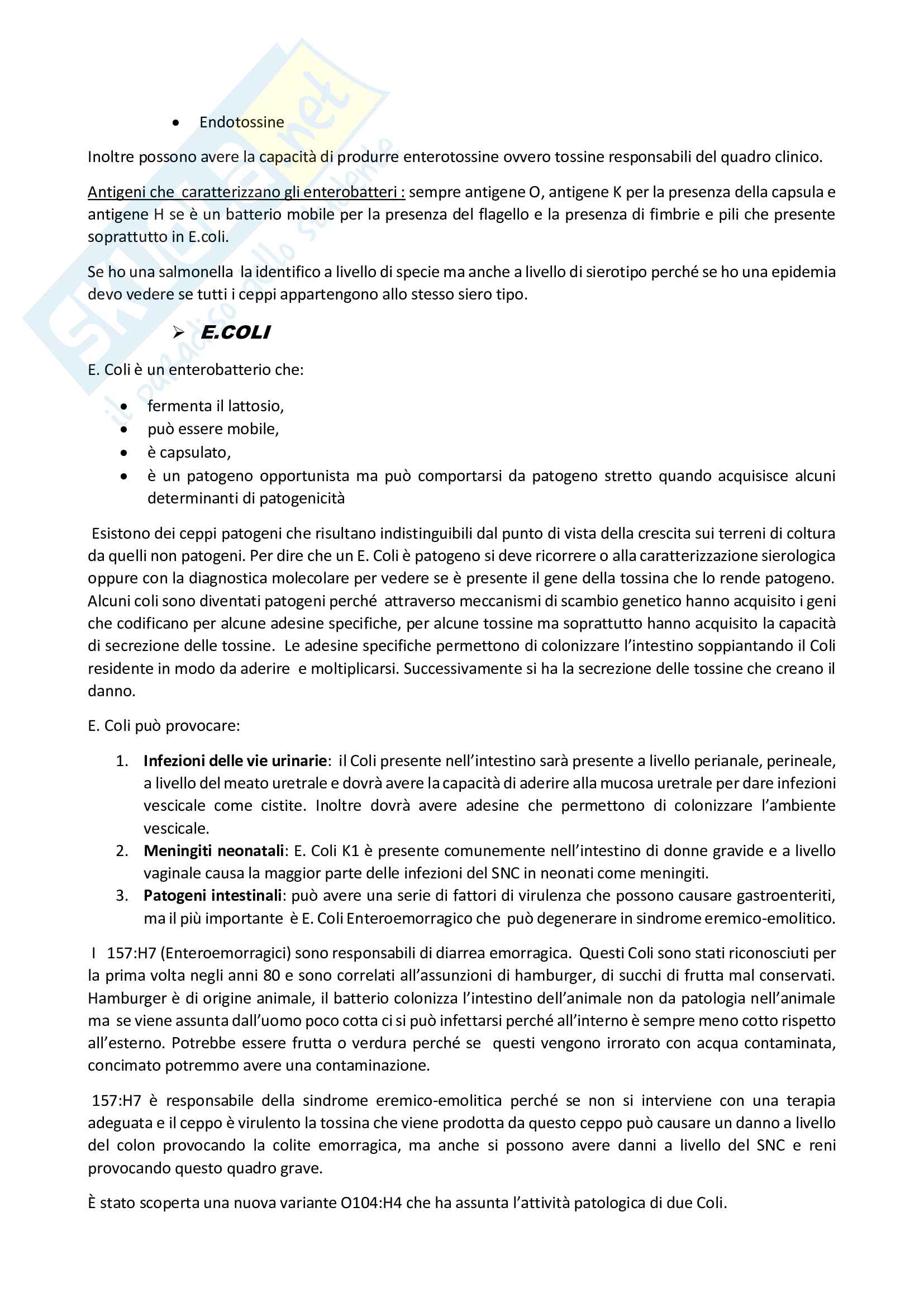 Microbiologia generale e clinica Pag. 41