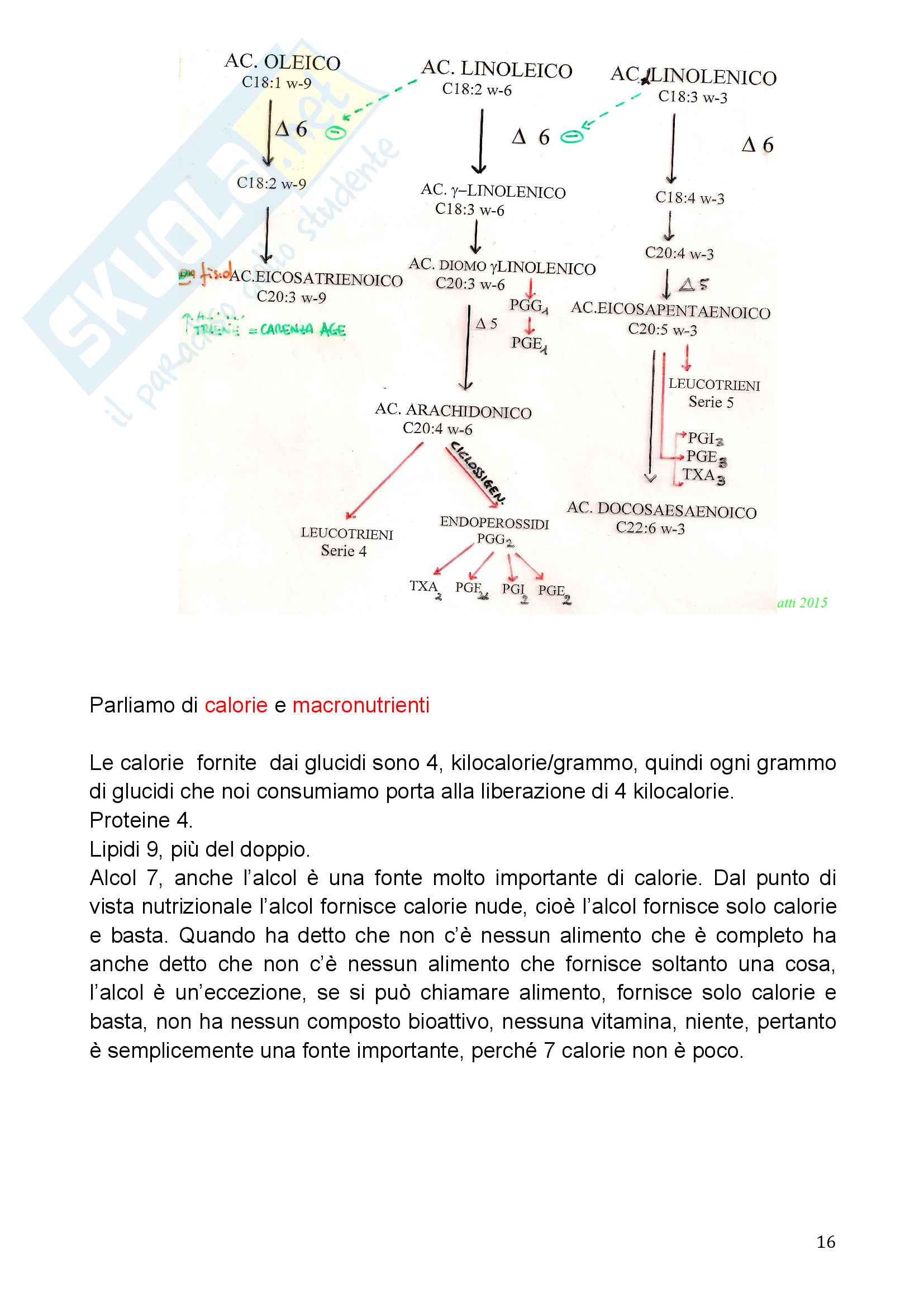 Appunti di biochimica della nutrizioneProfessoressa Carla Pignatti Pag. 16