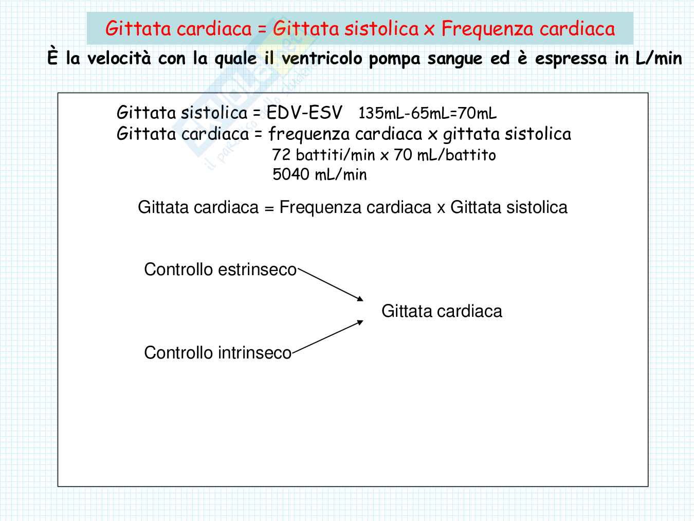 Anatomia del cuore Pag. 56