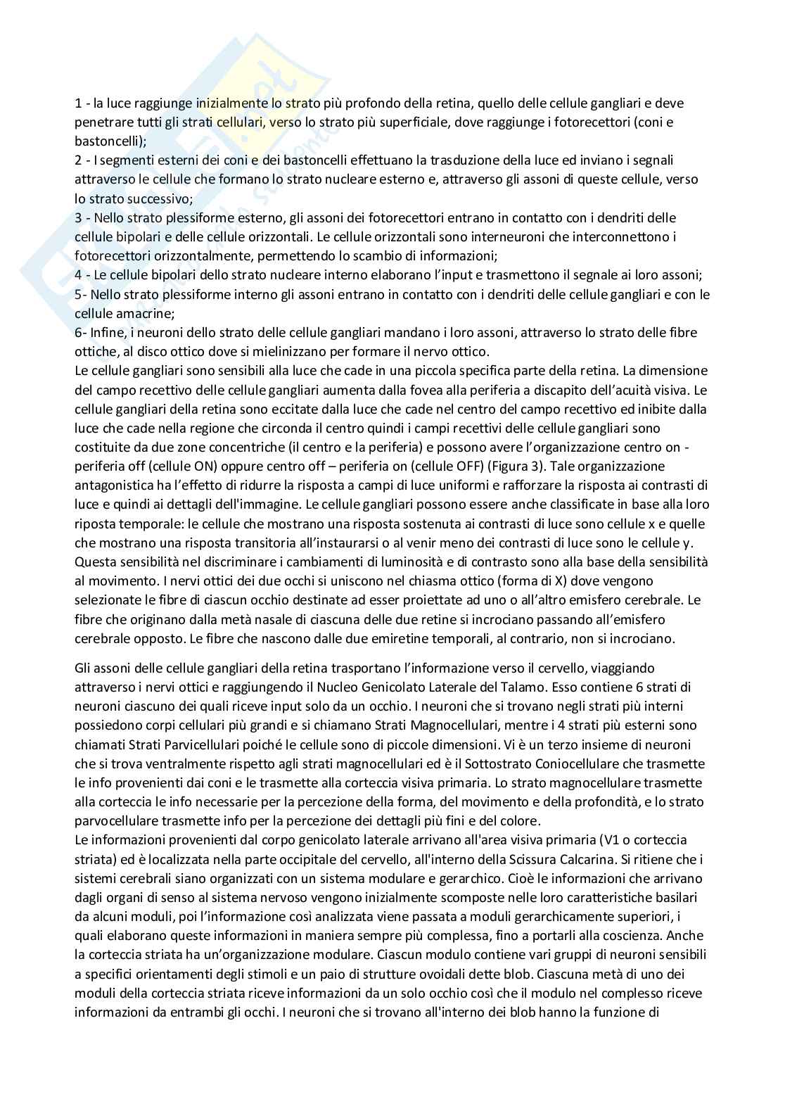 Fisiologia del comportamento Pag. 16