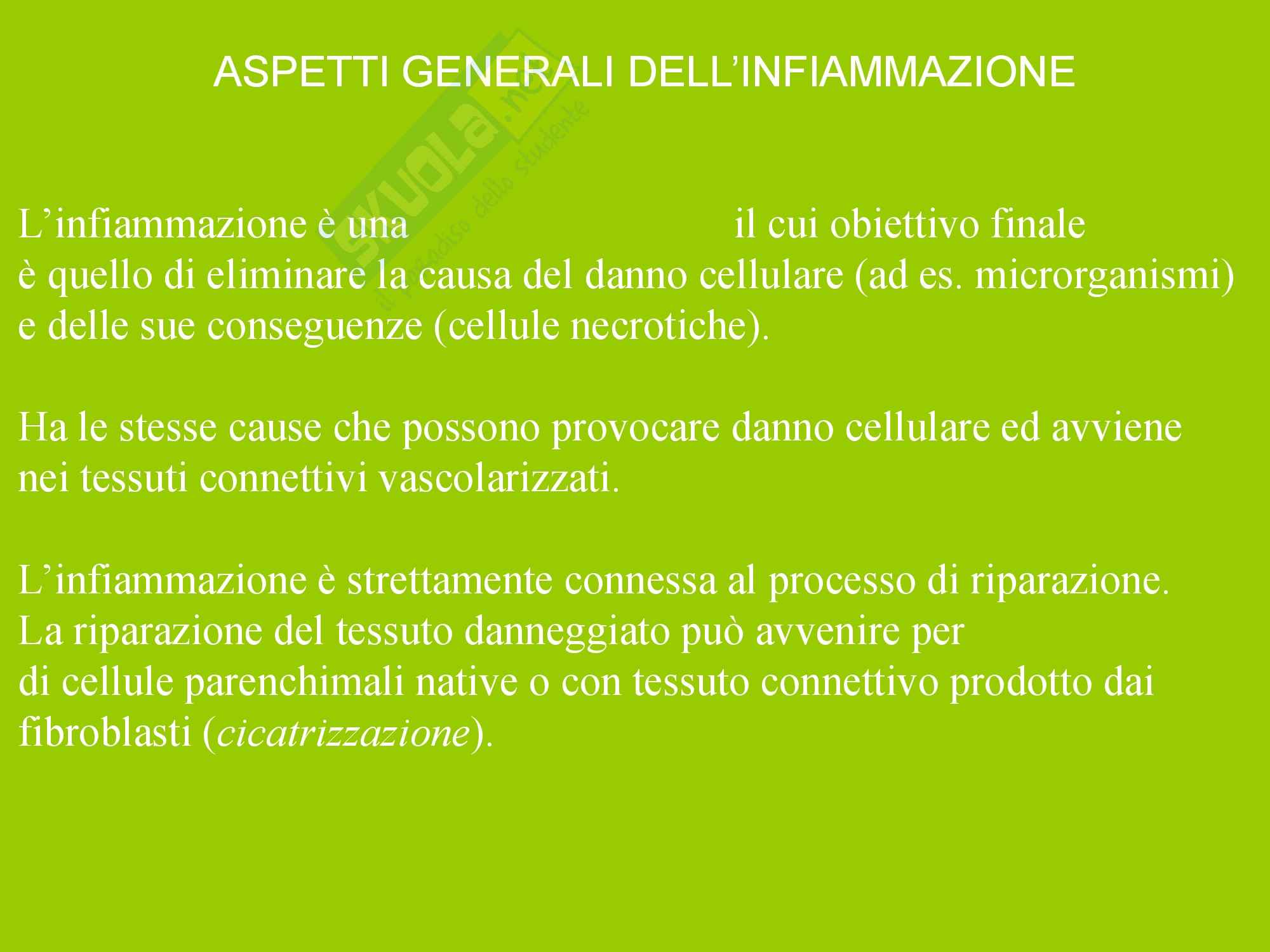 Infiammazione Acuta e Cronica Pag. 2