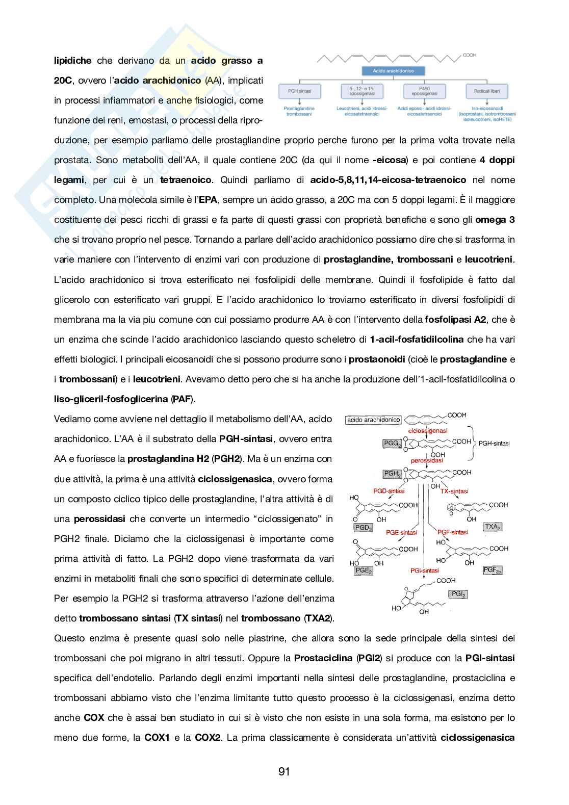 Farmacologia Pag. 91