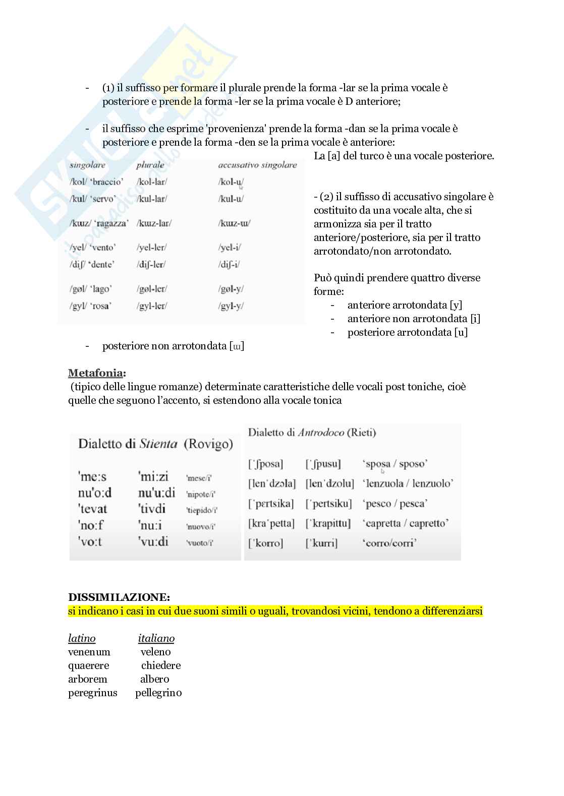Linguistica generale - Appunti seconda parte Pag. 26