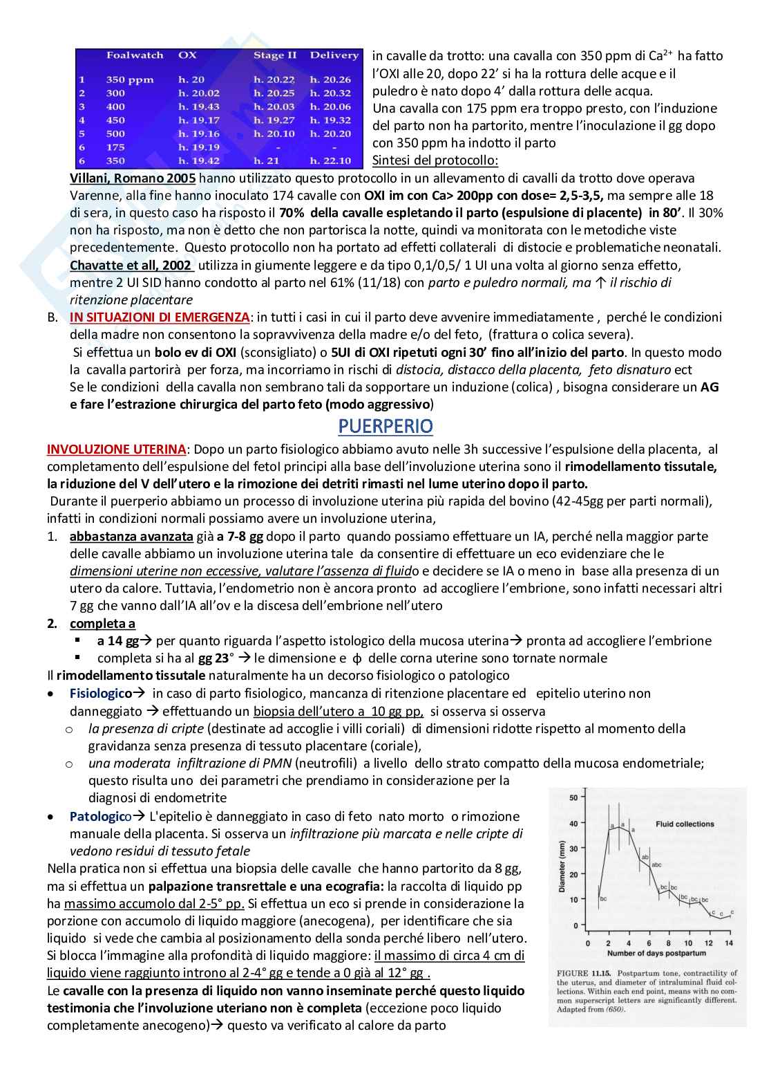 Patologia della riproduzione e clinica ostetrica e ginecologica veterinaria Pag. 31
