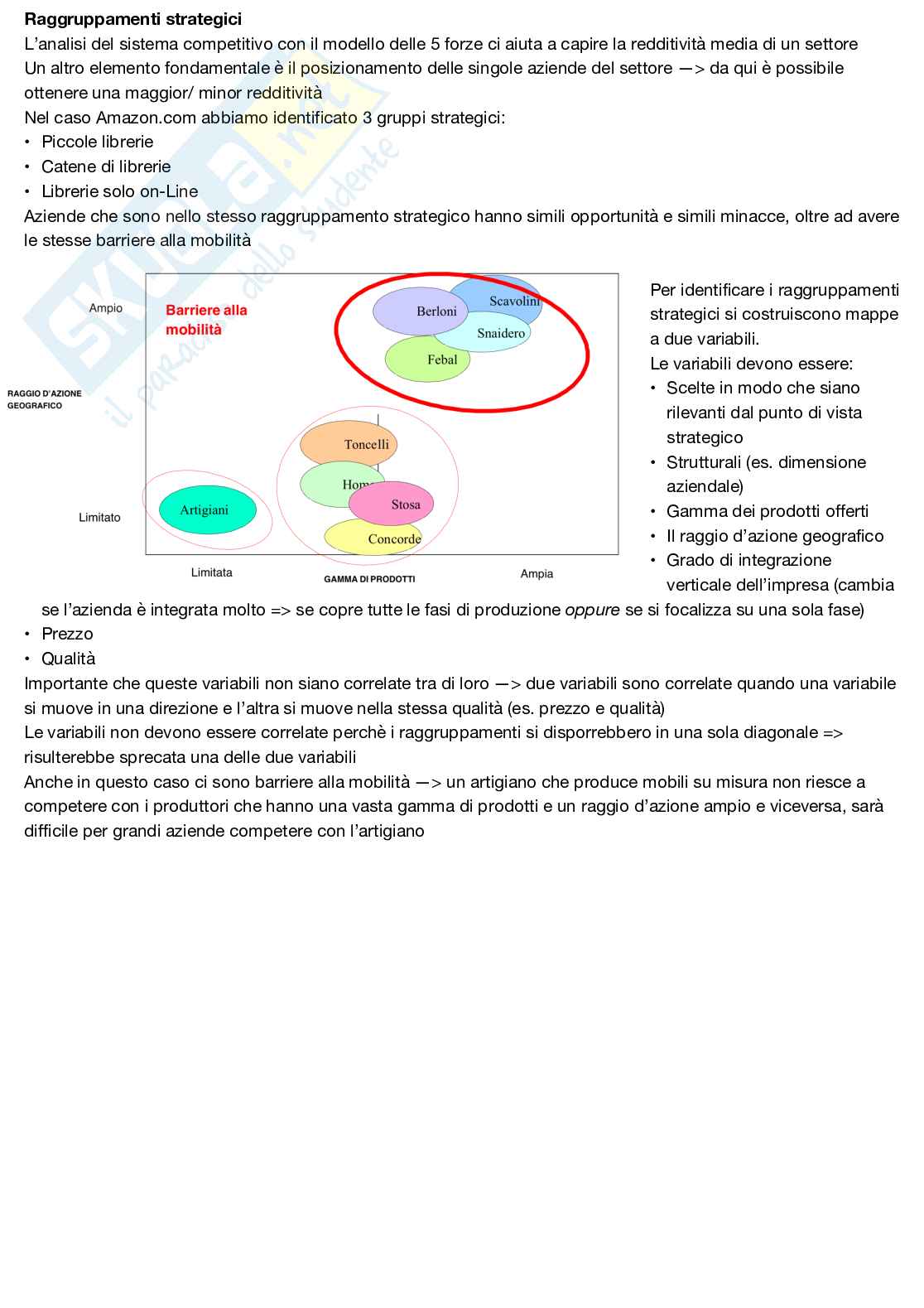 Appunti di Styrategia e Politica aziendale - I modulo Pag. 11