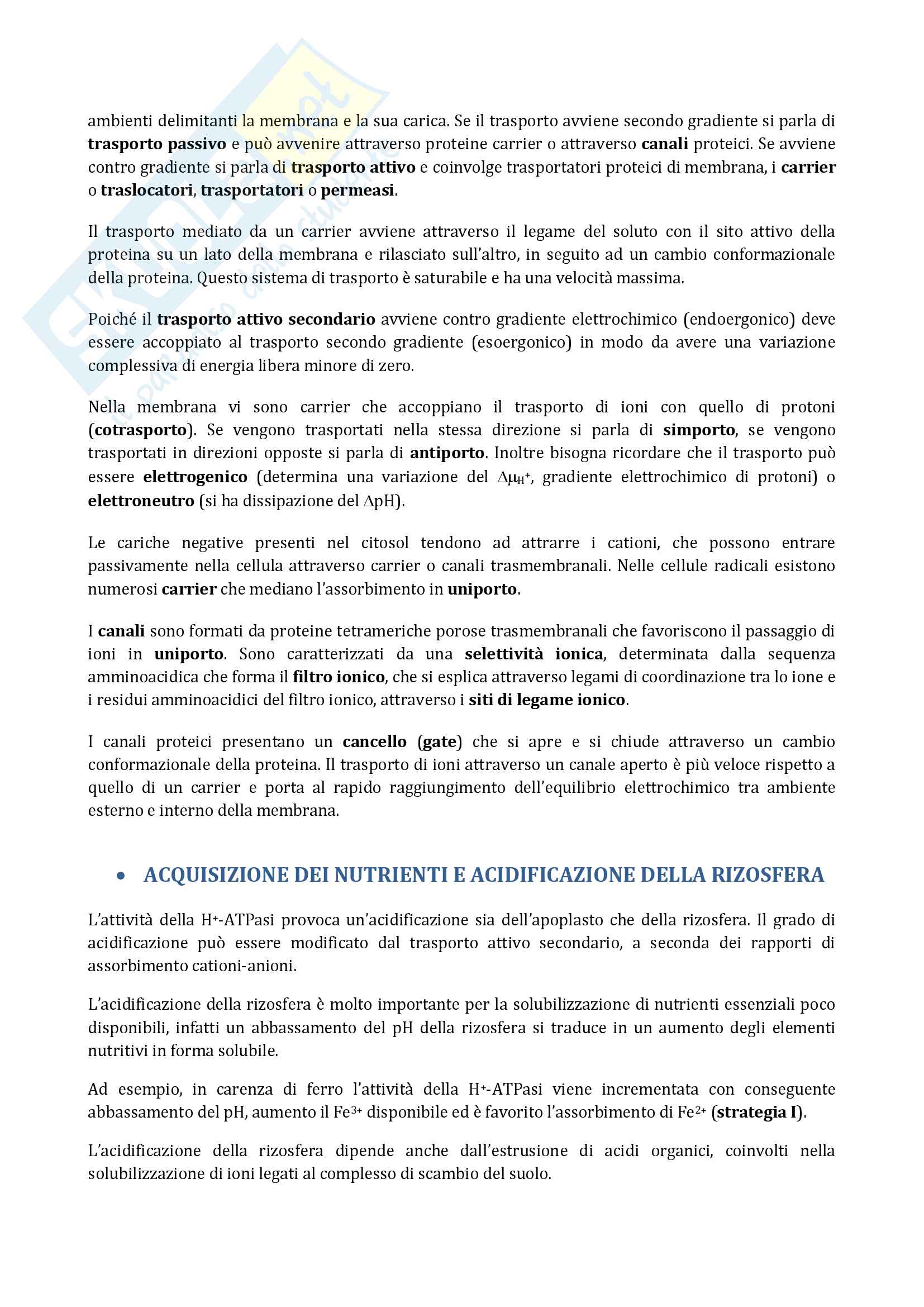 Appunti di fis vegetali Pag. 11
