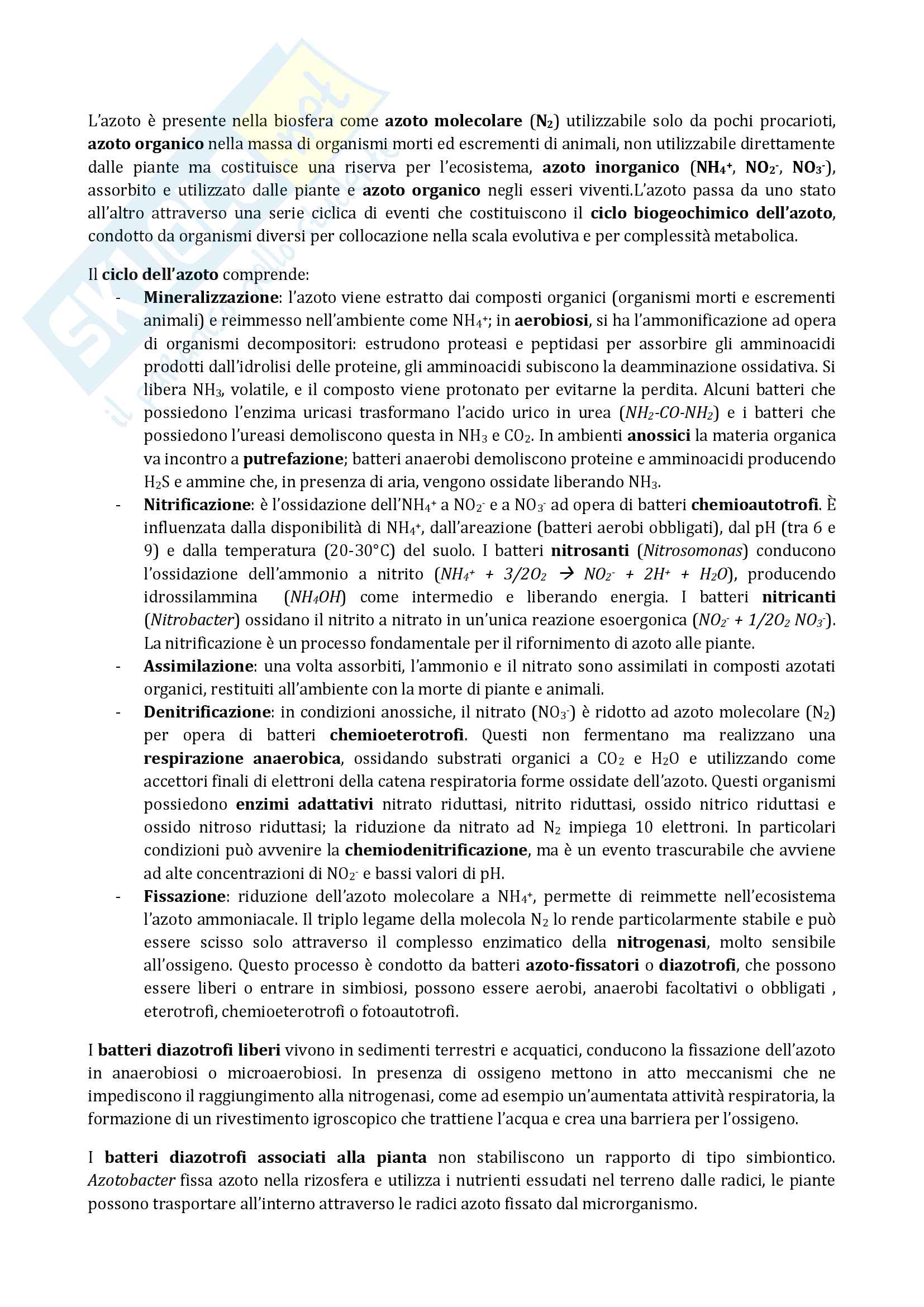 Appunti di fis vegetali Pag. 16