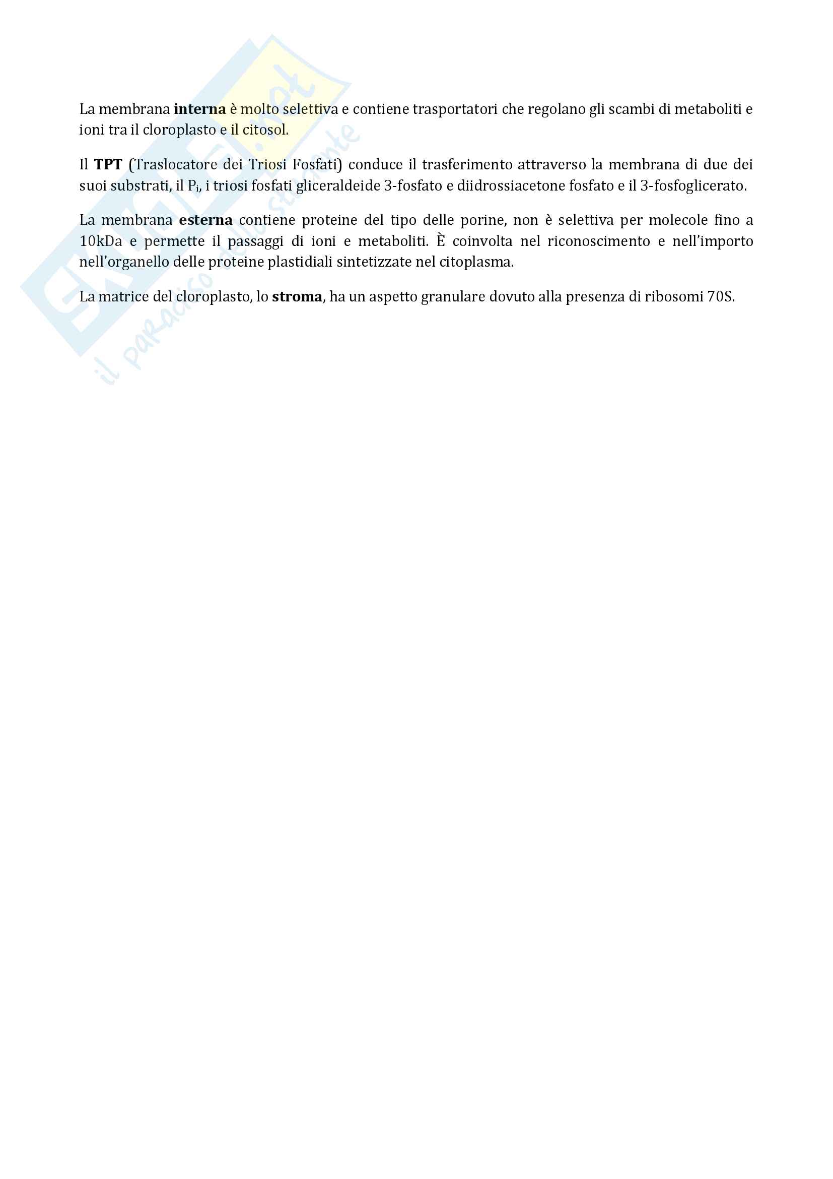 Appunti di fis vegetali Pag. 46