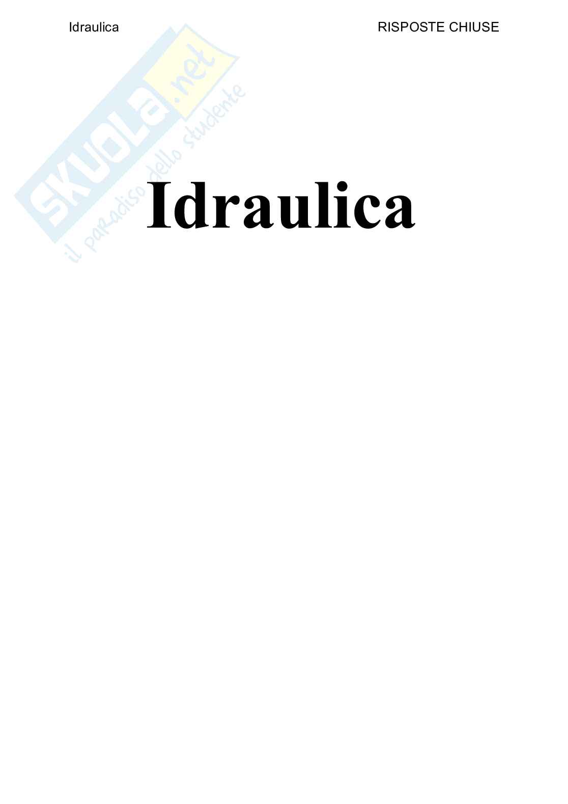 Idraulica - Paniere compilato Pag. 1