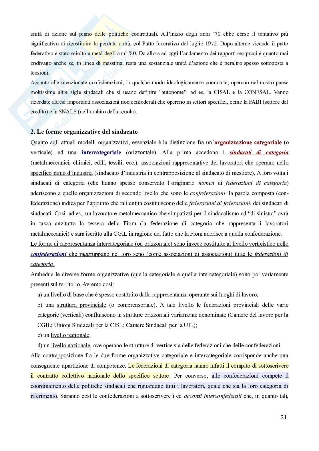 Riassunto esame Diritto del lavoro, Prof. Carinci Maria Teresa, libro consigliato Manuale di diritto del lavoro, Mazzotta Pag. 21