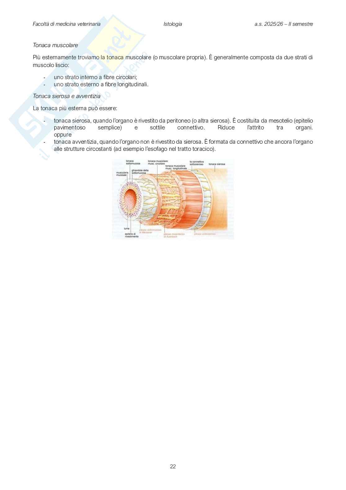 Fisiologia veterinaria 1 Pag. 21