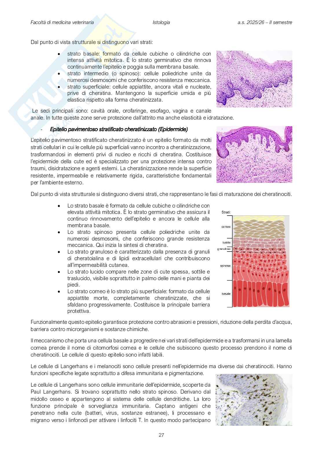 Fisiologia veterinaria 1 Pag. 26