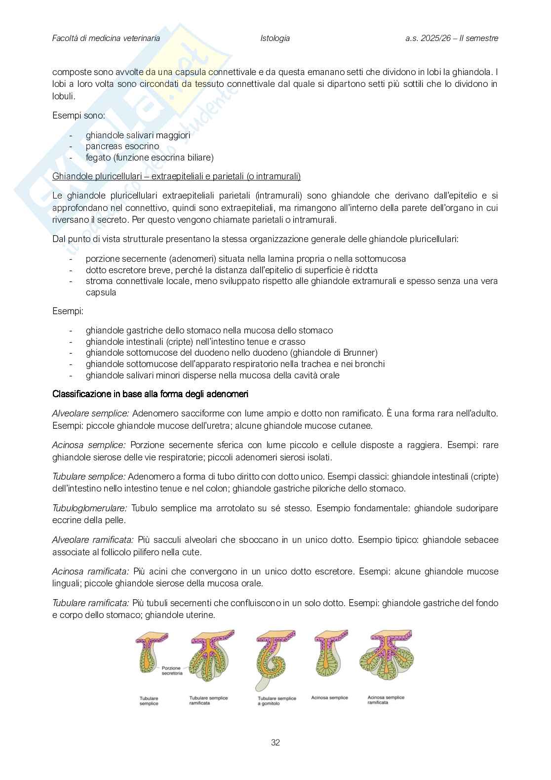 Fisiologia veterinaria 1 Pag. 31