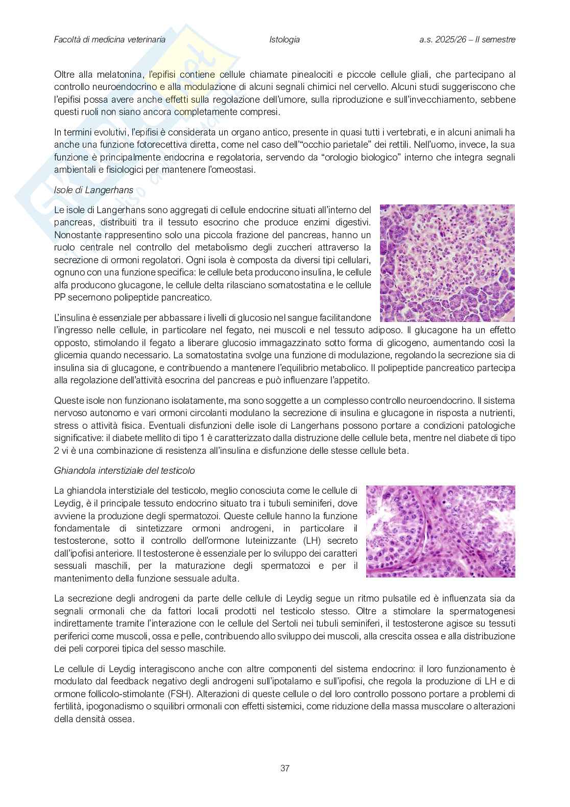 Fisiologia veterinaria 1 Pag. 36