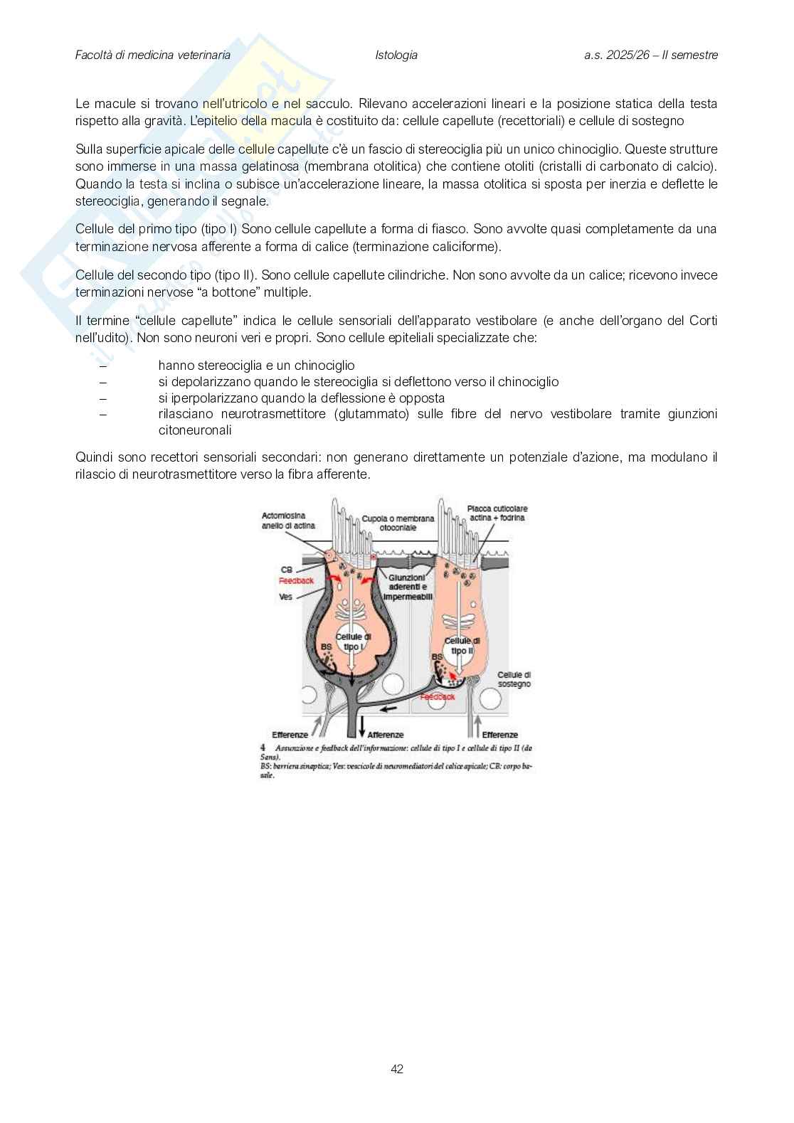 Fisiologia veterinaria 1 Pag. 41