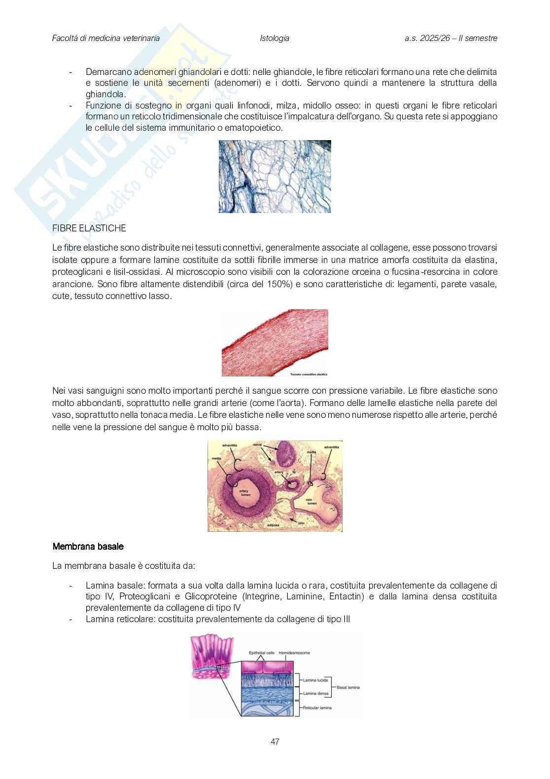 Fisiologia veterinaria 1 Pag. 46