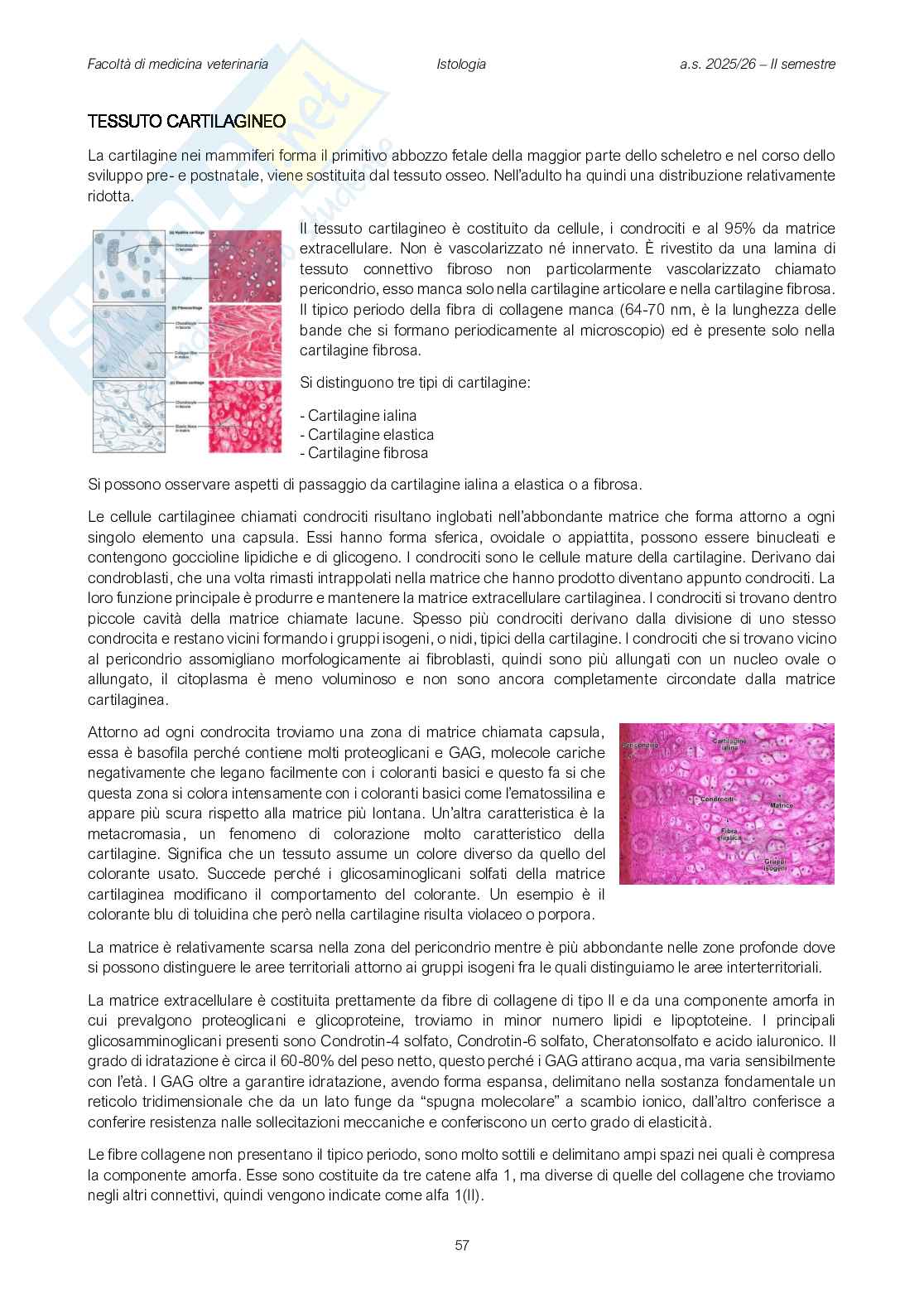 Fisiologia veterinaria 1 Pag. 56